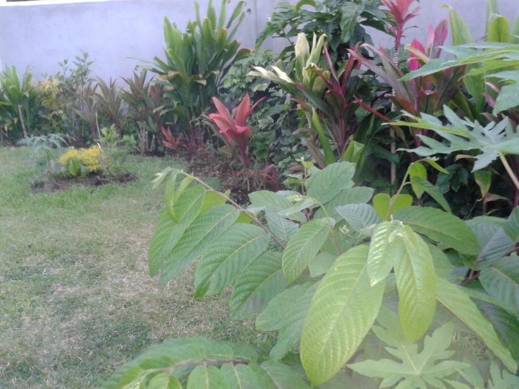 Dayspring Lodge Nuku'alofa Zewnętrze zdjęcie