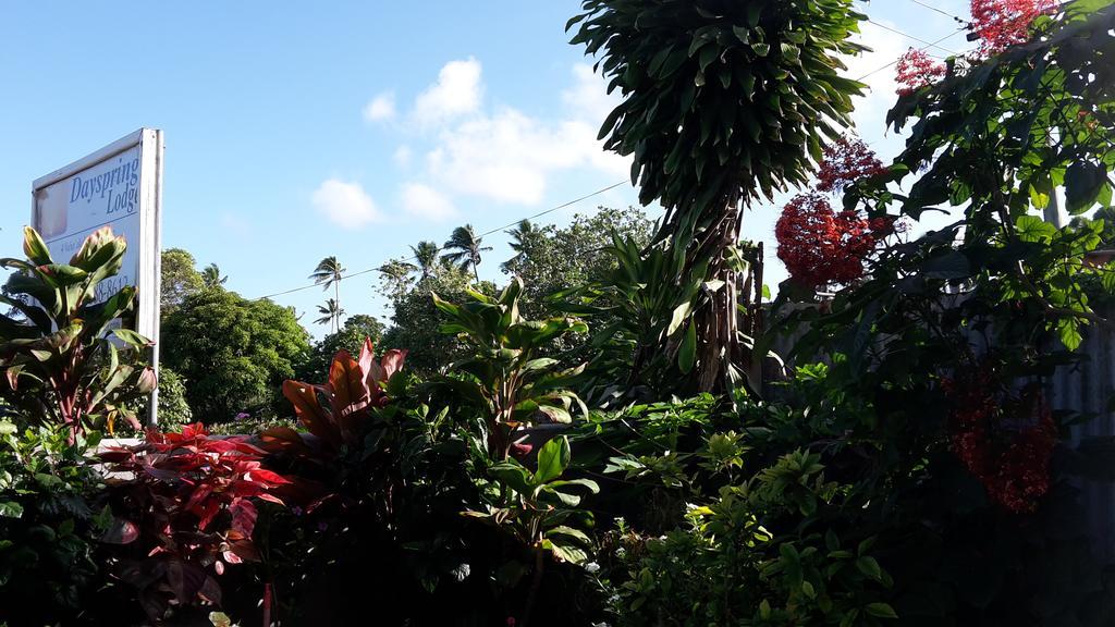 Dayspring Lodge Nuku'alofa Zewnętrze zdjęcie