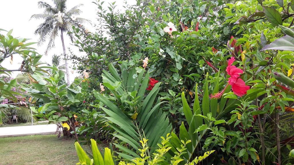 Dayspring Lodge Nuku'alofa Zewnętrze zdjęcie