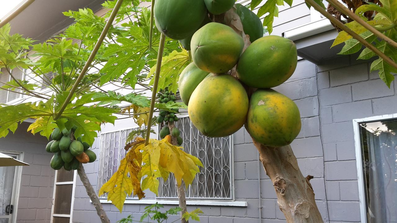 Dayspring Lodge Nuku'alofa Zewnętrze zdjęcie